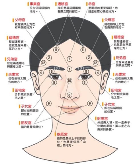 看面相準嗎|[閒聊] 大家覺得面相學真的有準的嗎？